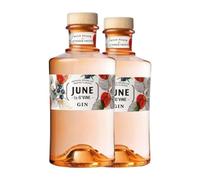 Ginebra G'Vine June Wild Peach & Summer Fruits Gin 70 cl (Caja de 2 Botellas de 70 cl)