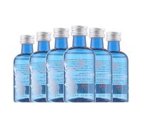 Ginebra Harahorn Small Batch Gin Botellín Miniatura 5 aja de 6 Botellín Miniatura de 5 cl)