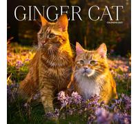 Ginger Cat Calendar 2027: Orange Coats and Cozy Paws