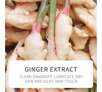 Ginger Hair Shampoo, Ginger Refreshing Moisturizing and Soothing Shampoo, Hair Conditioner, Hair Mask, Conditioner for Clean Scalp and Smooth Silky Hair, Improves Roughness and Care for Hair 500ml