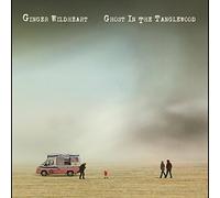 GINGER WILDHEART - GHOST IN THE TANGLEWOOD