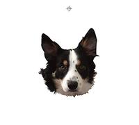 Ginger Wildheart - I Wanna Be Yours / No Regrets [VINYL] [Vinilo]