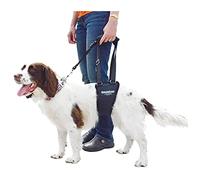 GingerLead Dog Support & Rehabilitation Harness - Small Male Sling by GingerLead