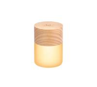 Gingko Design 7 luces nocturnas RGB Lemelia que cambian de color, 6 cm de alto, batería de larga duración, carga USB, 2 modos de luz, certificado FSC (ceniza blanca), G026
