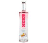 Gin Ginial 70cl