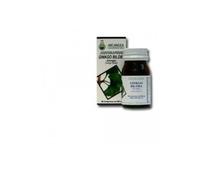 Ginkgo Biloba 60 Cps 500 Mg Arcang