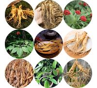 ginseng de cocina balcón o invernadero ginseng Balcón con jardín de interior resistentes en macetas al aire libre jardín rocas silvestres raras 350semillas