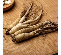 ginseng resistentes en macetas Panax ginseng de interior medicinales silvestres raras coraciones jardín resistentes jardín, oficina Balcón 160semillas