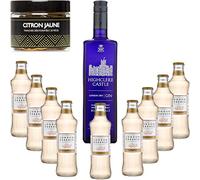 Gintonic - Gin Highclere Castillo 43,5 ° + 9London Esencia"Ginger Ale '- (70cl + 9 20cl *) + Pot 20 rebanadas amarillo limón seca.