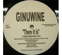 GINUWINE - There It Is