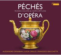 Gioachino Rossi Péchés D'Opera: Rossini, Salons & Horn Vi (CD) (Importación USA)