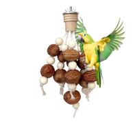 Giocattoli per - Legno 20x12cm Catena Frutta Naturale Parrocchetti Masticabile | Giochi per Parrocchetti Ondulati e Inseparabili with Antinoia Dentale Stimolante, Gabbia Addestramento, Accesso