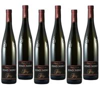 GIORGI PINOT NERO ROSATO VINO FRIZZANTE OLTREPO' PAVESE DOC 75 CL 6 BOTTIGLIE