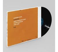 Giovanni Guidi - A New Day [Vinilo]