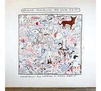 Infinite Possibilita Per Essere Felici – Vinilo – Universal Music Group
