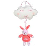 Gipsy conejo recinto de música rosa