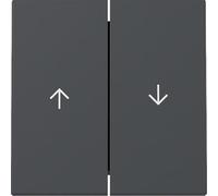 Gira 329428 - Balancín (2 compartimentos), color antracita