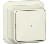 Gira Interruptor De Botón Superficial Con Ventana De Control - 315210