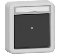 Gira IP44 Botón De Palanca Con Contacto De Señal Gris - 315235