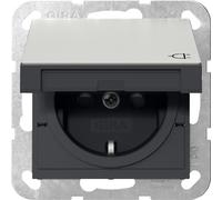 Gira Sistema 55 Acero Inoxidable Toma Schuko Con Tapa - 4414600