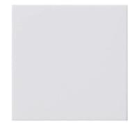 GIRA Sistema 55 blanco puro 810803