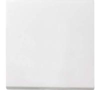 GIRA Sistema 55 blanco puro seda mate balancín conmutación encendido/apagado (029 627)