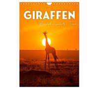 Giraffe - Bemerkenswerte Tiere. (Wandkalender 2026 DIN A4 hoch), CALVENDO Monatskalender: Die Riesen der Savanne.