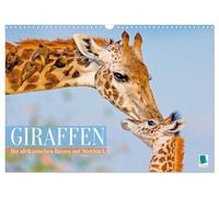 Giraffen: Die afrikanischen Riesen mit Weitblick (Wandkalender 2026 DIN A3 quer), CALVENDO Monatskalender: Eleganz in der Savanne: Netzgiraffe, Massai Giraffe, Rothschild Giraffe