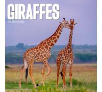 Giraffes 2026 Calendar: Wildlife Photography of Gentle Giants of Africa