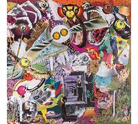 Giraffes? Giraffes! - Memory Lame [Vinilo]