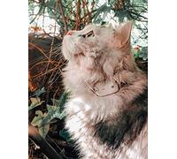 Girafus / Localizador Gatos Perros/Sin Suscripción/con Ondas De Radio- No GPS/Rastreador Mini De Mascotas Gato Perro/para El Collar/Gatos Pequeños/Alcance: hasta 500 Metros