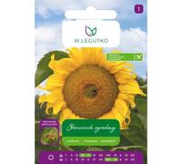 Girasol de jardín, semillas rayadas