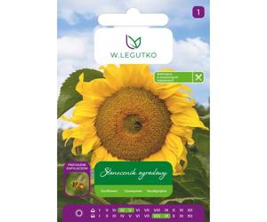 Girasol de jardín, semillas rayadas