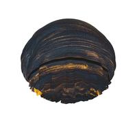 Girasol sobre tablero de madera impermeable reutilizable gorro de ducha para mujer - Cubierta elástica para el pelo para baño, spa, viajes y uso diario