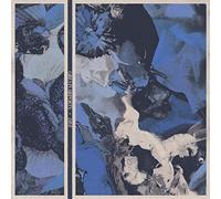 Girls in Airports - Dive [Vinilo]