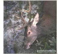 Girls in Hawaii - Plan Your Escape [Vinilo]