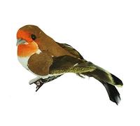 Gisela Graham : Decoraciones de navidad : Petirrojo en un clip