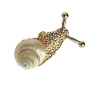 Gissroys Estilos de resort Anillos de Caracol De Gran Tamaño Joyería De Concha De Moda Para Vacaciones Y Ocio Traje Modernismo Costeros, como se describe