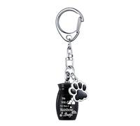 Gissroys Llaveros galvanizados con colgante de urna de cremación para gatos, para cenizas, cremación de mascotas, caja de colección para mascotas, urnas conmemorativas para mascotas