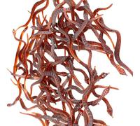 Gissroys Paquete de 100 escarabajos de cuerda de Halloween juguetes realistas cucarachas apoyos decoración festival para suministros de fiesta gags y chistes cucarachas realistas