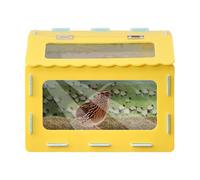 Gitekain Reptile Enclosure, Large Capacity Landscape Habitat, 15.74x11.81x11.81 Inch Snake Tank with Clear Viewing Panel, Pet Habitat for Turtle Frog Chick Hedgehog, Small Animal Terrarium