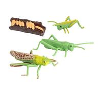 Gitohoni de Juego de Aprendizaje con Figuras Infantiles Kit Didáctico Modelos de Desarrollo Juguete Simulado Material Plástico Hecho a