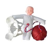 Gitohoni Modelo de Pelvis Femenina con Bebé Modelo de Pelvis Femenina Humana para Uso Médico