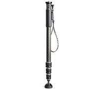 Gitzo GM2542 monopod para cámara - monopods para cámaras (Carbono, Negro, 1/4, 3/8)
