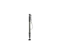 Gitzo GM2542 eXact Carbon Monopod Serie 2