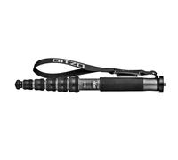 Gitzo GM2562T Carbon Monopod Series 2