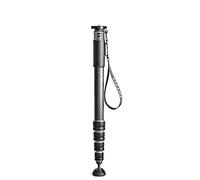Gitzo GM4552L Monopod de cámara - Monopods de cámara (Carbono, Negro, 1/4, 3/8)