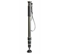 Gitzo GM2542 - monopods para cámaras (Carbono, Carbono, 1/4, 3/8)