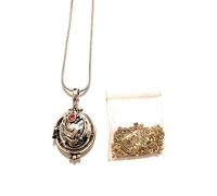 Giulyscreations - Collar con medallón de Elena Gilbert The Vampire Diaries I Diarios del Vampiro con Verbena de regalo Stefan Damon Salvatore Elena Gilbert Vampiros Serie TV Fantasy Pop Cosplay Cierre