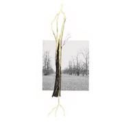 Giuseppe Penone Thoughts in the Roots /anglais